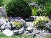 Mainau 2011