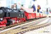 dsc 1397