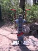 Pollo 125
