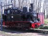Pollo 146