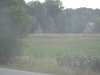 Döllnitzbahn 017