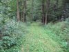 Streckenaufbau 005