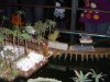 dsc00206