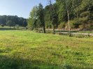 Lohsdorf 2019 009