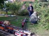 bild0831