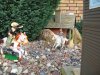 Indianer in der Stadt